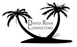 David Ryan consulting radio show, David Ryan consulting